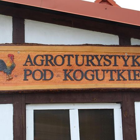 Agroturystyka Pod Kogutkiem Czysta 外观 照片