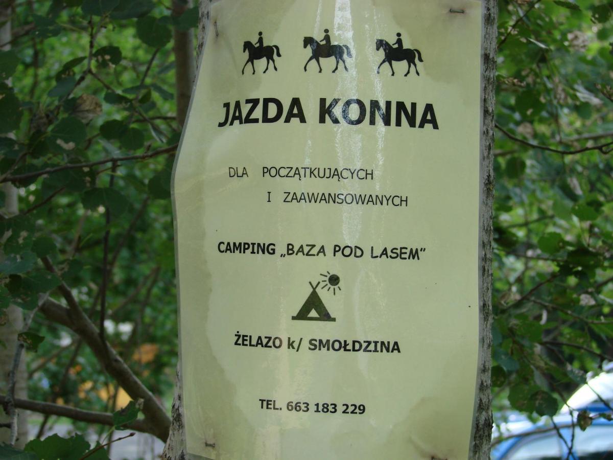 Agroturystyka Pod Kogutkiem Czysta 外观 照片