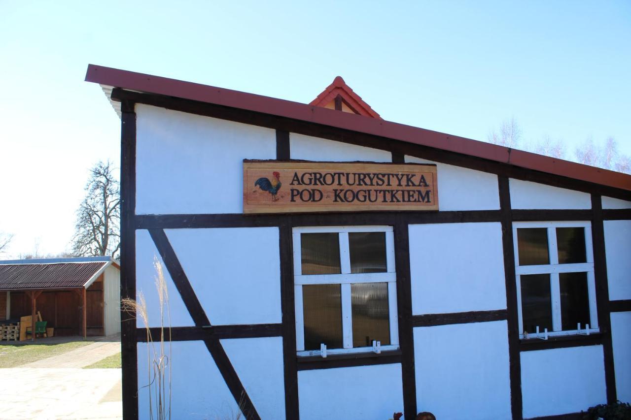Agroturystyka Pod Kogutkiem Czysta 外观 照片